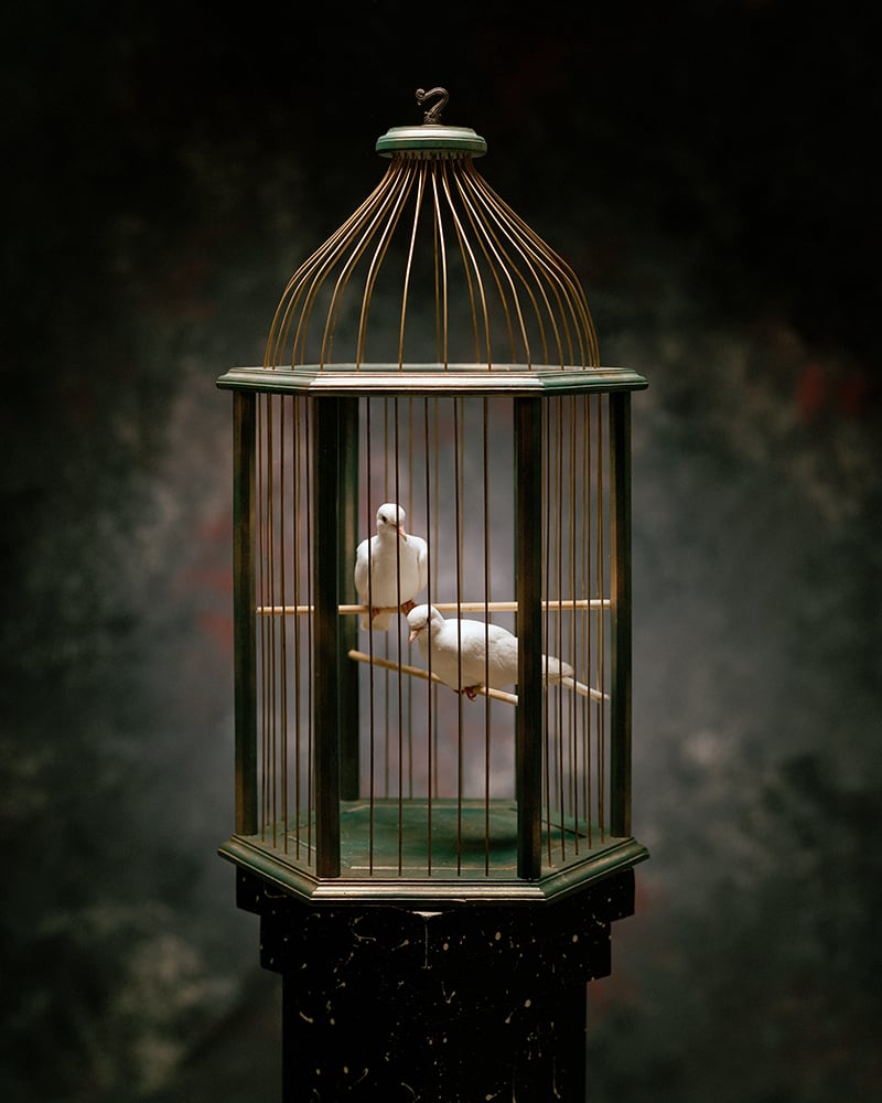 Sudden Exposure Studios