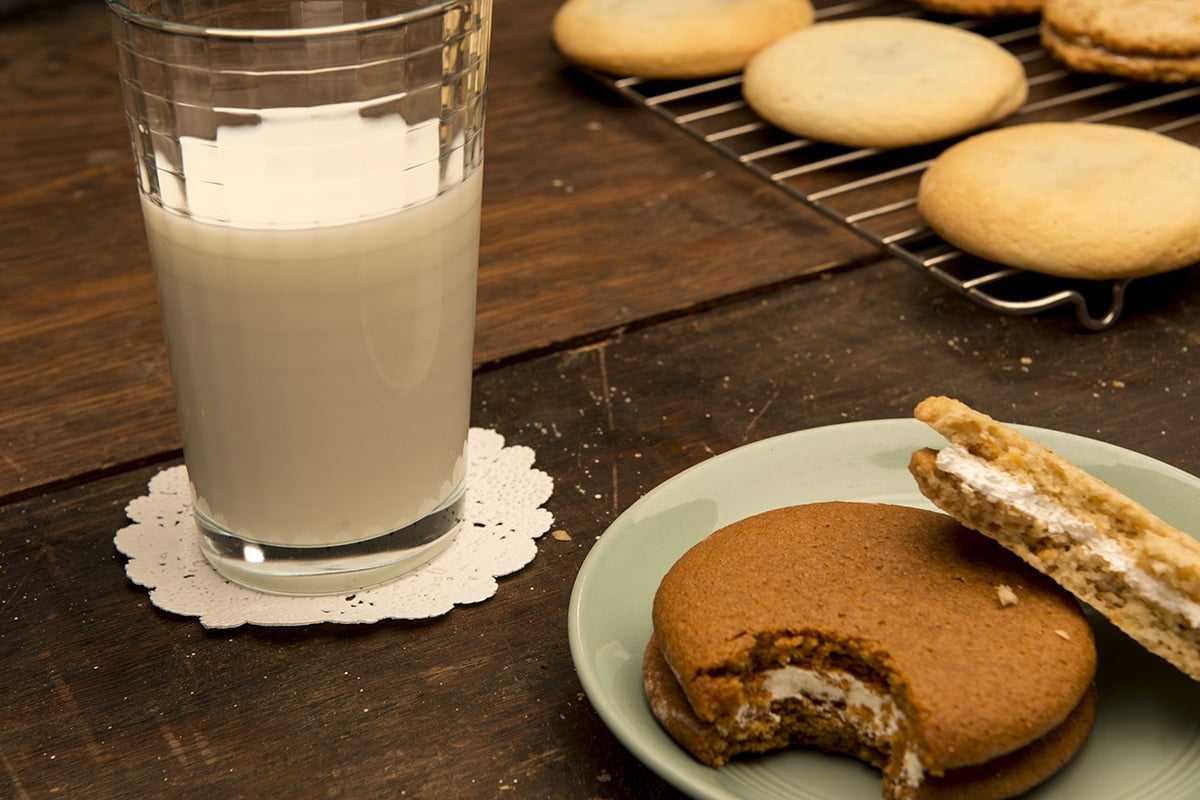 Sudden Exposure Studios