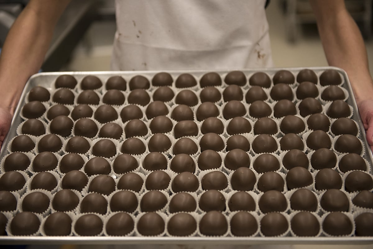 Sudden Exposure Studios