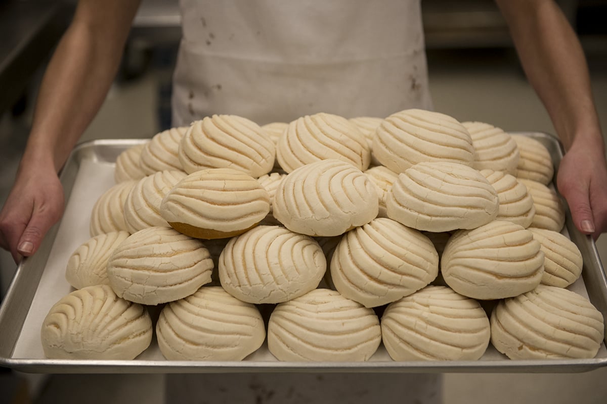 Sudden Exposure Studios