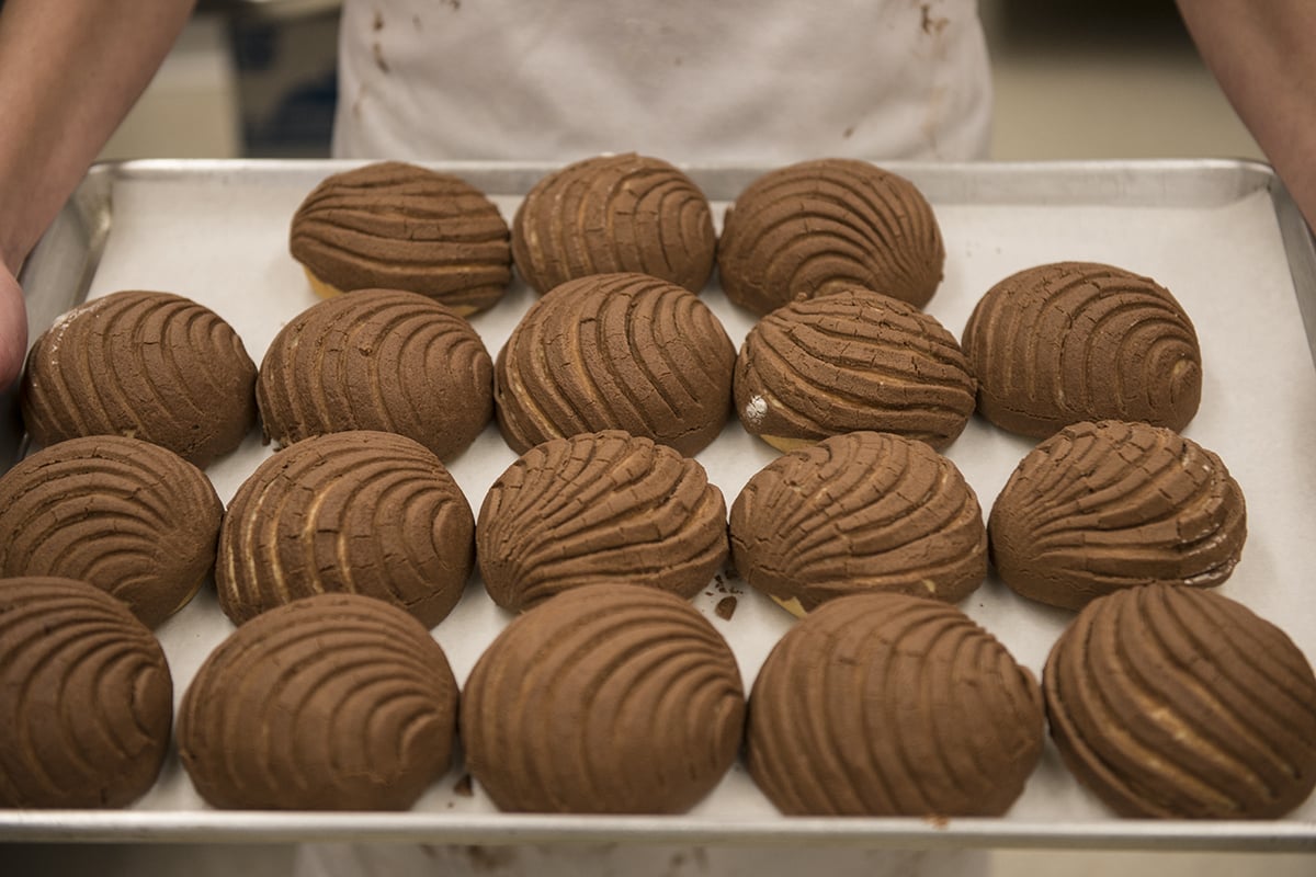 Sudden Exposure Studios