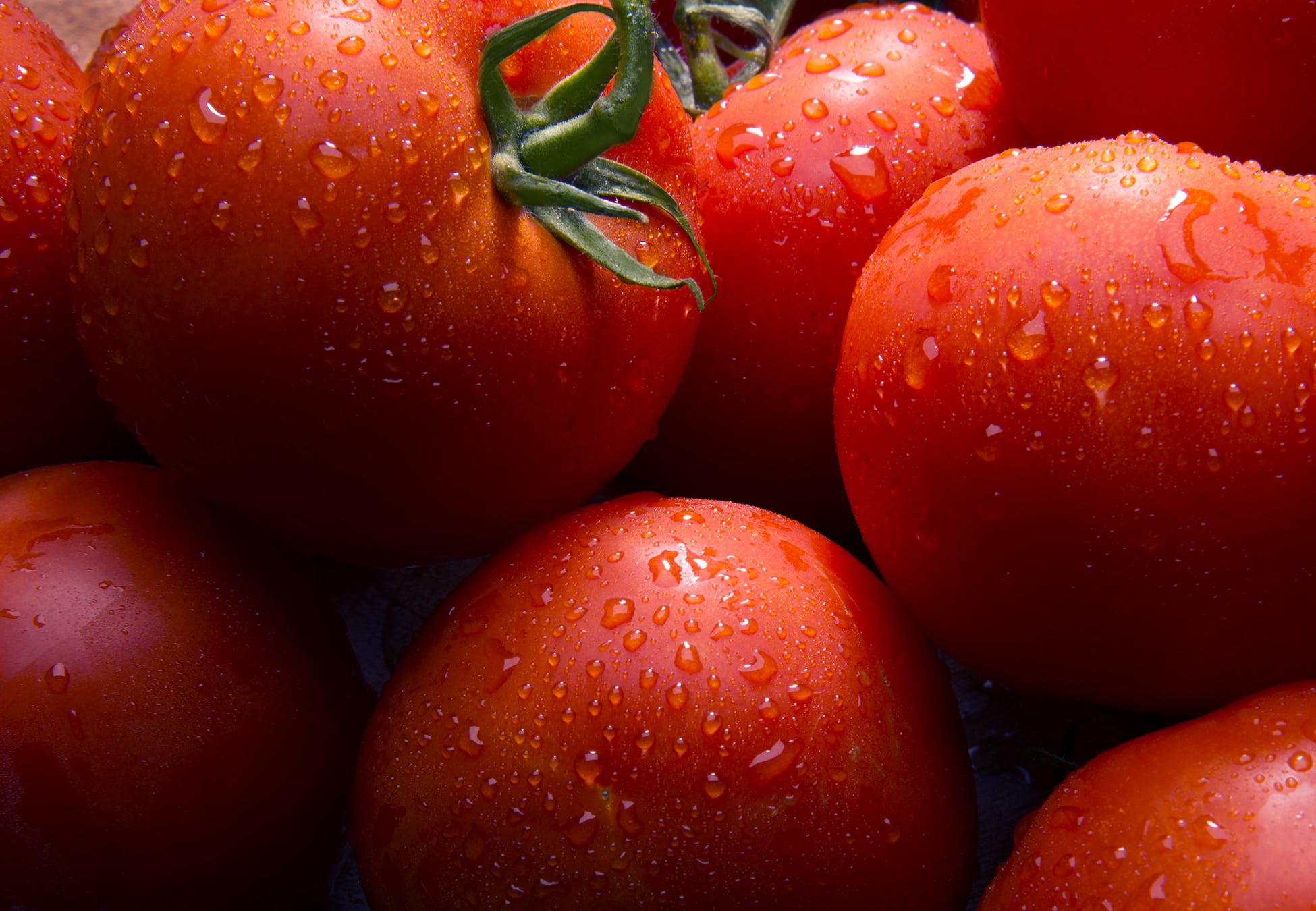 Sudden Exposure Studios