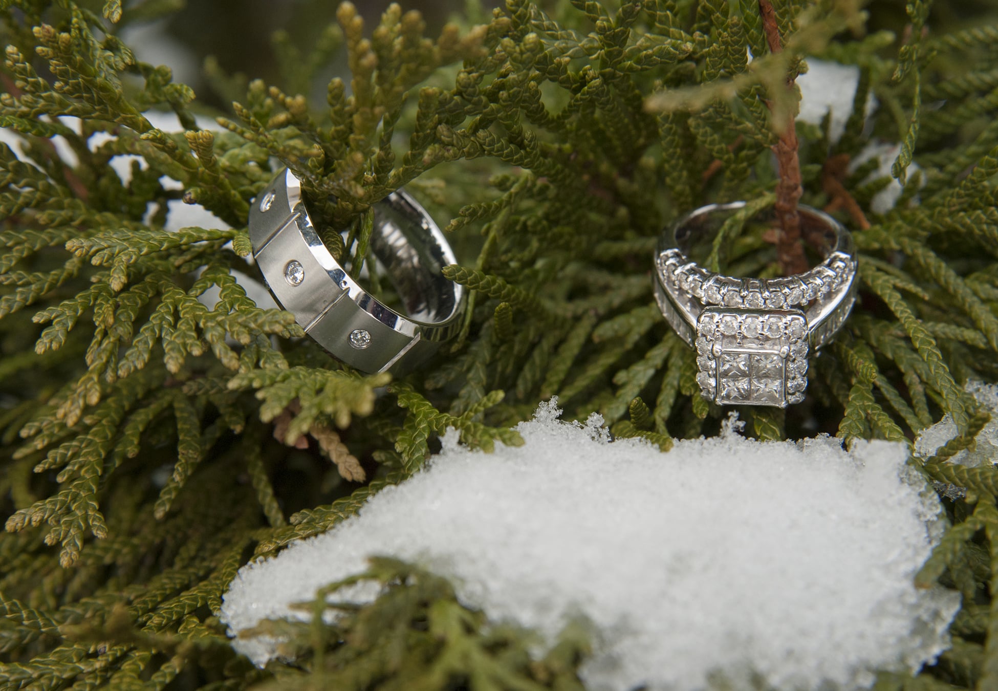 Sudden Exposure Studios