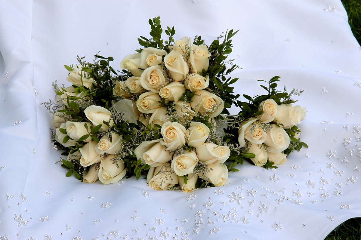 Sudden Exposure Studios